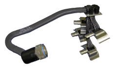 ef-p1010167-1000