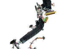 EverFlex